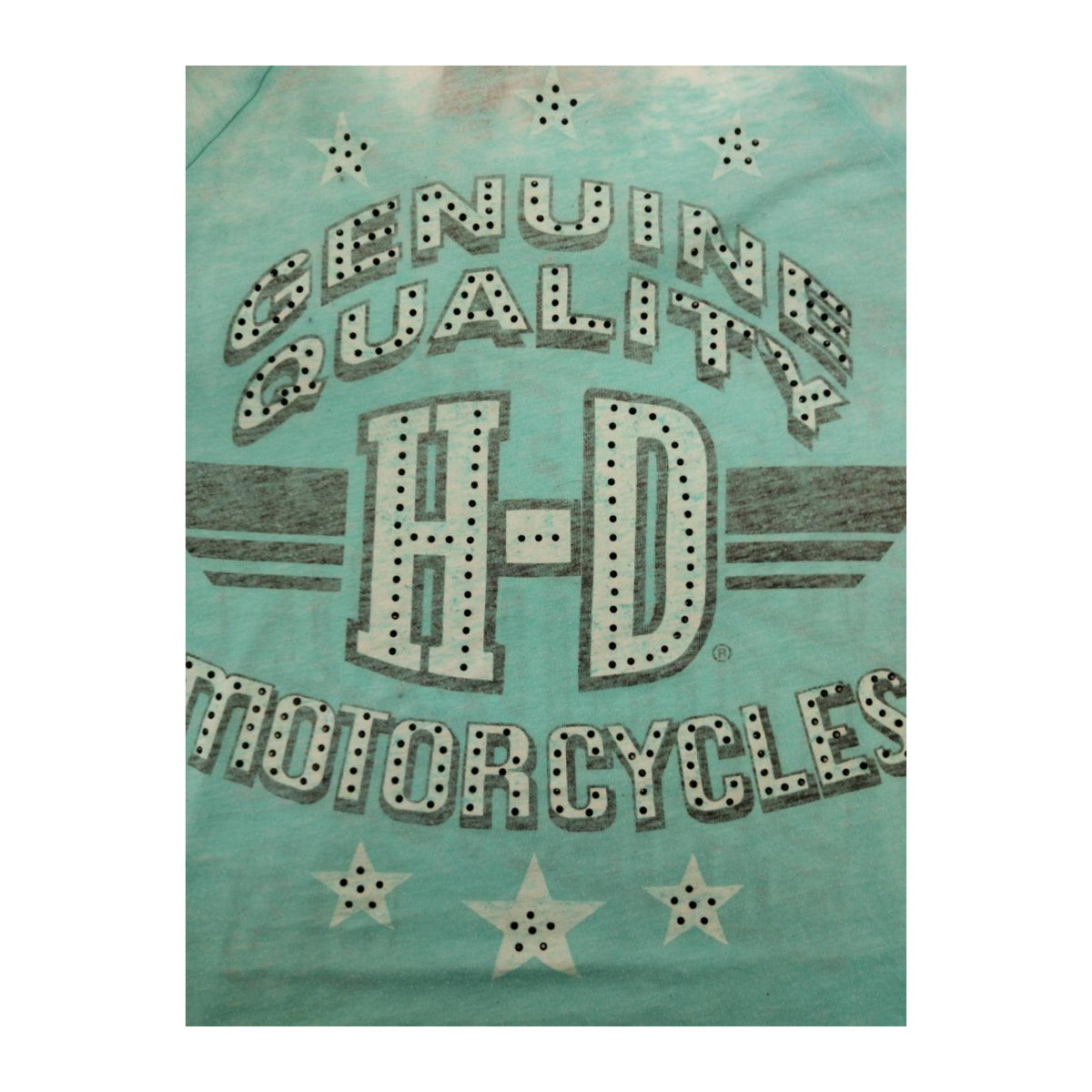 Harley Davidson Passion and Pride Women's Short Sleeve T Shirt Turquoise 2XL