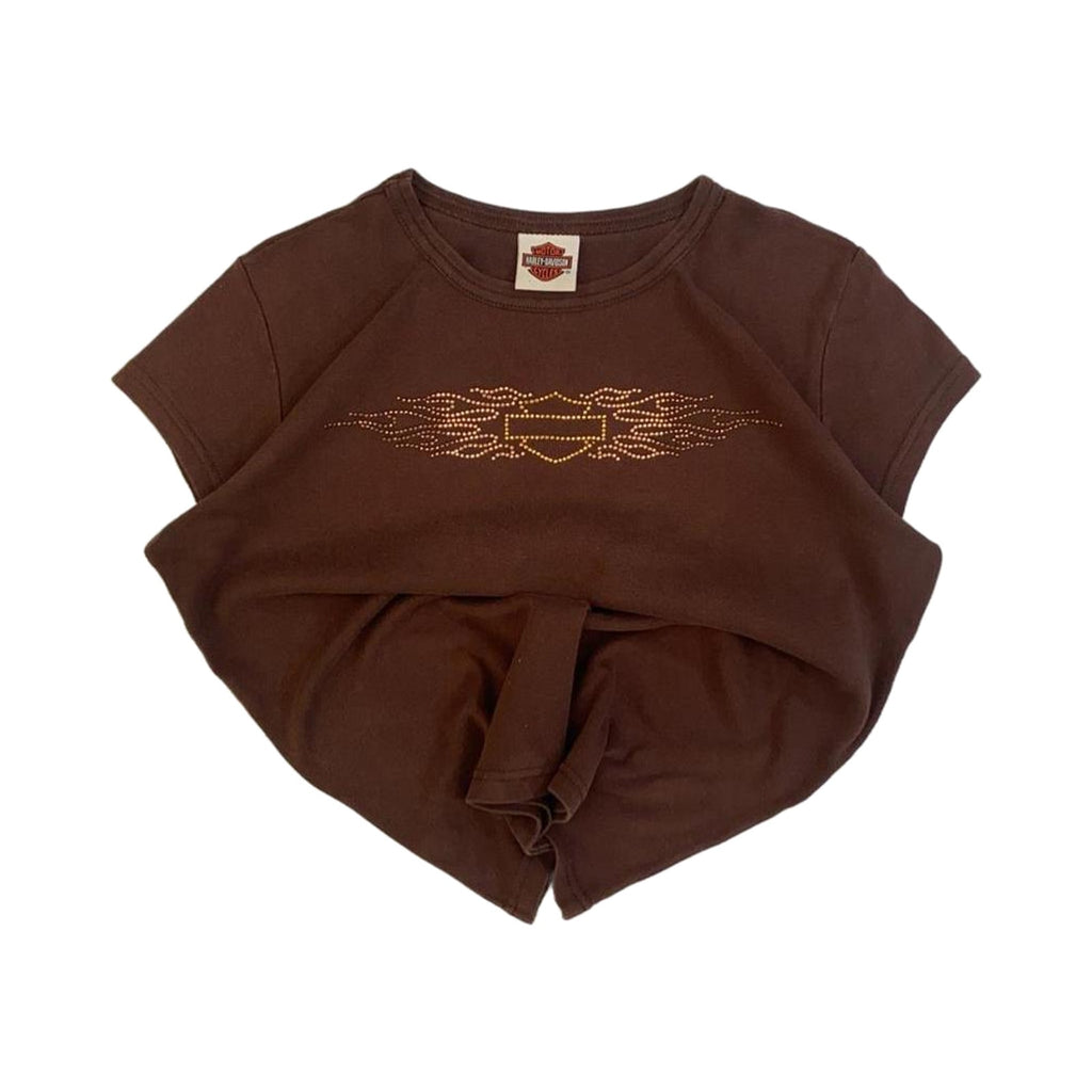 Harley Davidson Logo Short Sleeve T Shirt Brown 2XL