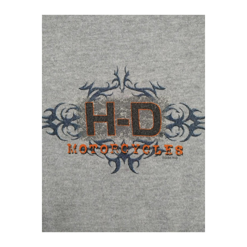 Vintage Harley Davidson Women's Y2K Cybersigil  Baseball T Shirt Grey XL Made USA
