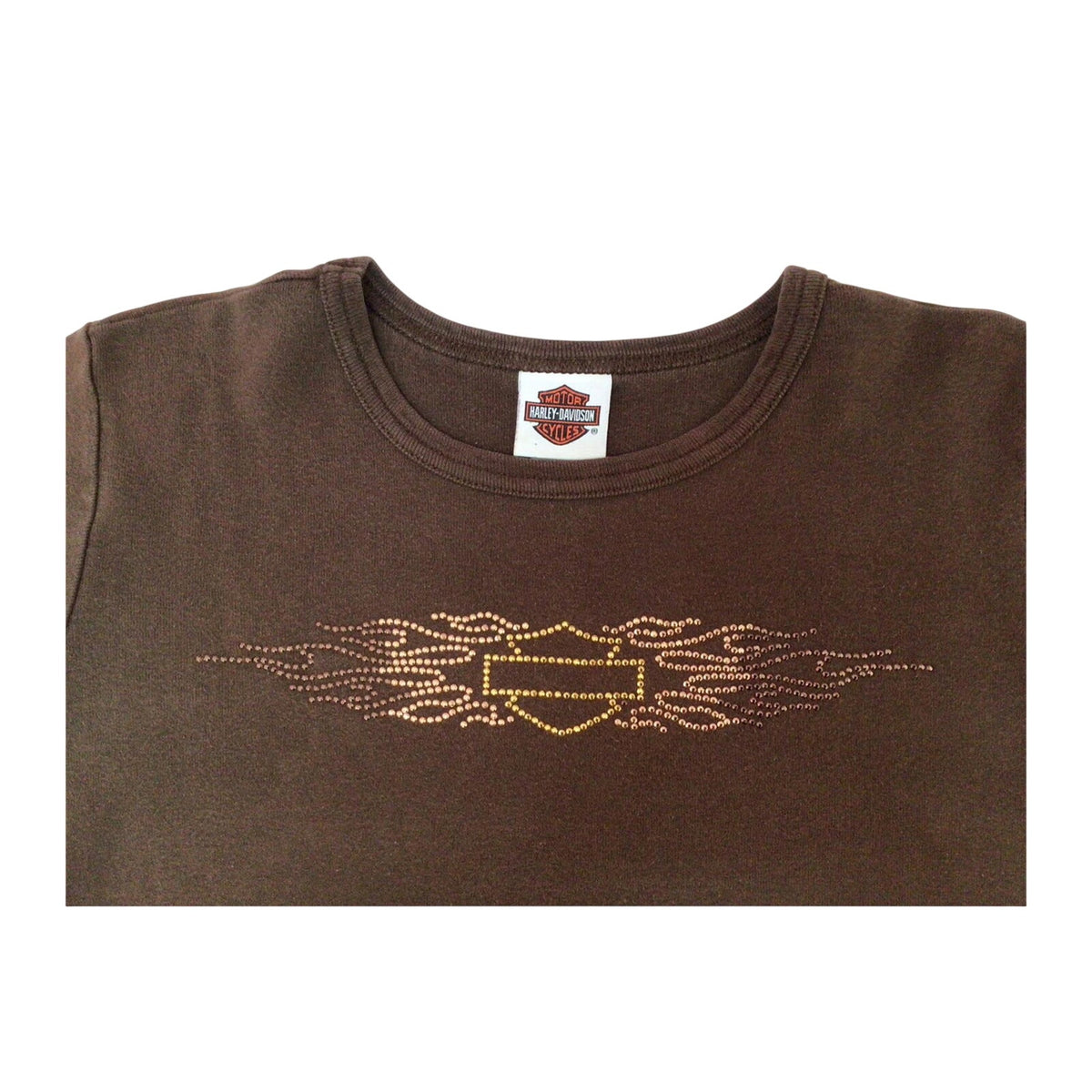 Harley Davidson Logo Short Sleeve T Shirt Brown 2XL