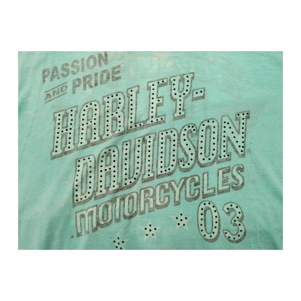 1599 Harley Davidson Passion and Pride Women's Short Sleeve T Shirt Turquoise 2XL