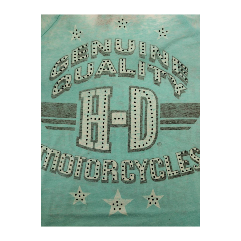 1599 Harley Davidson Passion and Pride Women's Short Sleeve T Shirt Turquoise 2XL