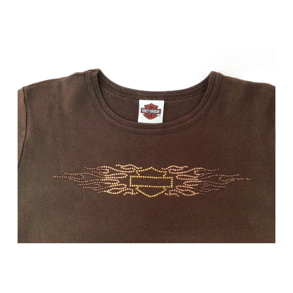 1700 Harley Davidson Logo Short Sleeve T Shirt Brown 2XL