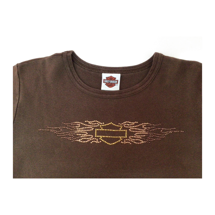 Harley Davidson Logo Short Sleeve T Shirt Brown 2XL