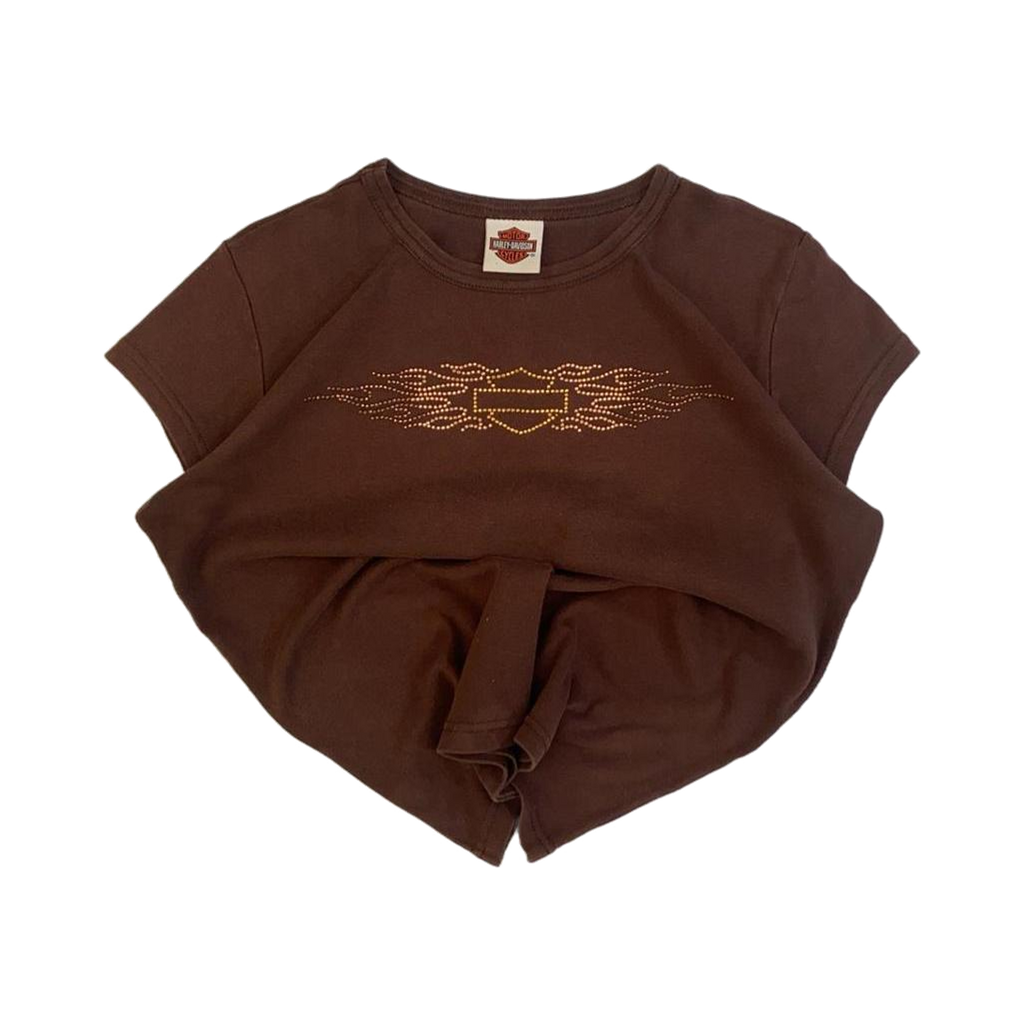 1700 Harley Davidson Logo Short Sleeve T Shirt Brown 2XL