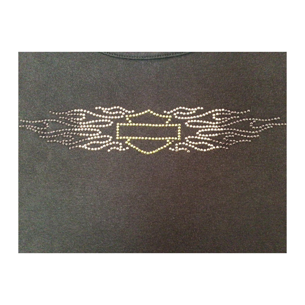 1700 Harley Davidson Logo Short Sleeve T Shirt Brown 2XL