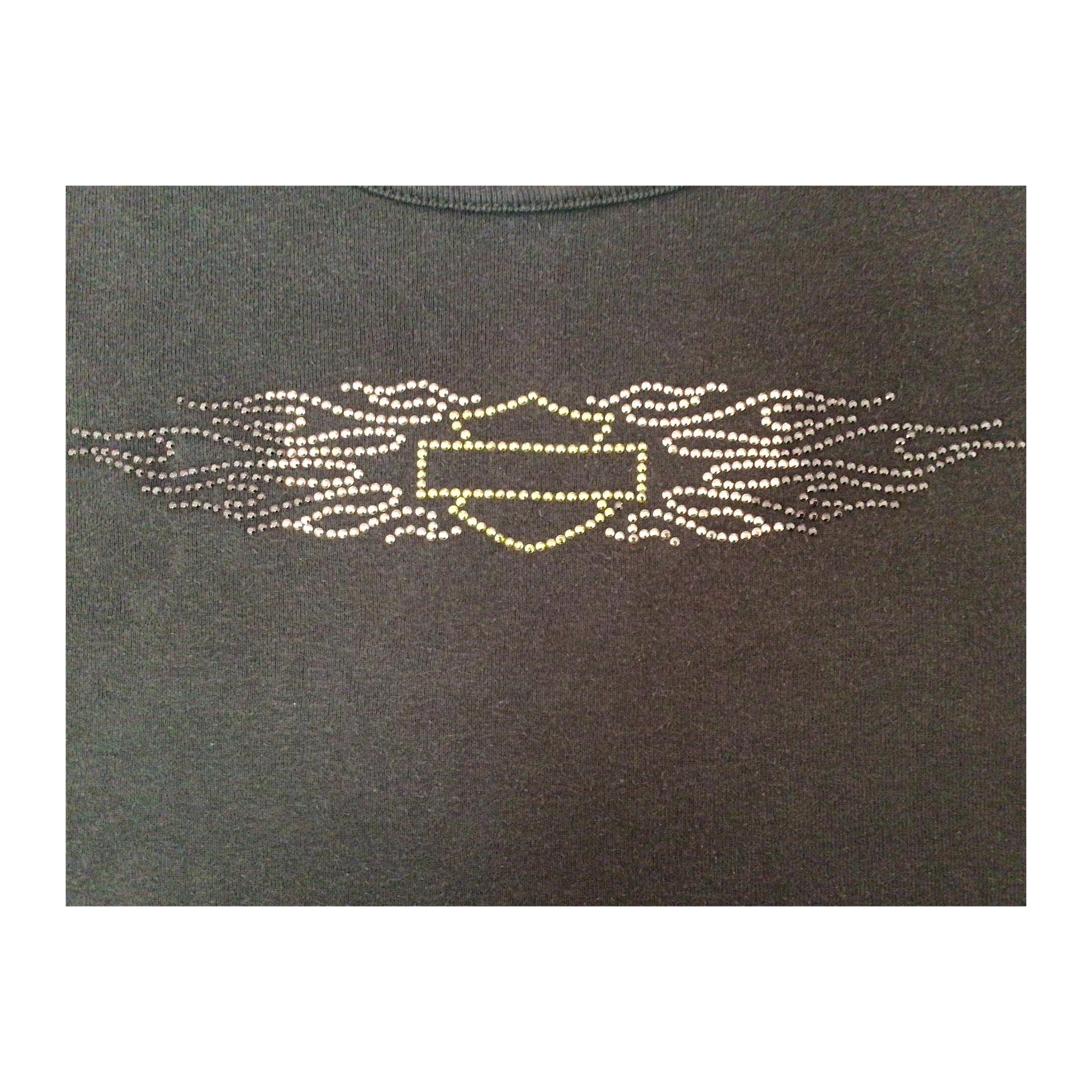 1700 Harley Davidson Logo Short Sleeve T Shirt Brown 2XL