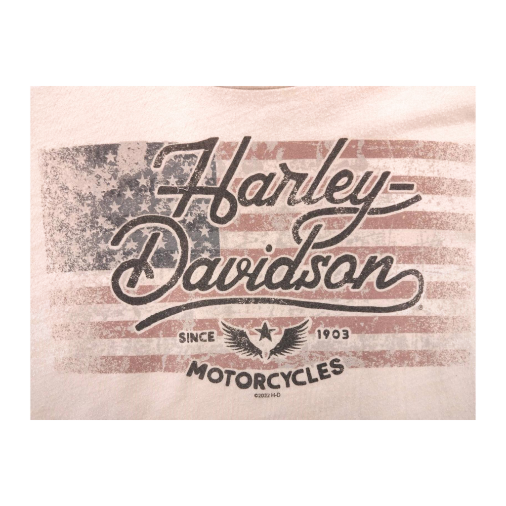 1593 Harley Davidson American Flag Short Sleeve T Shirt Beige 2XL