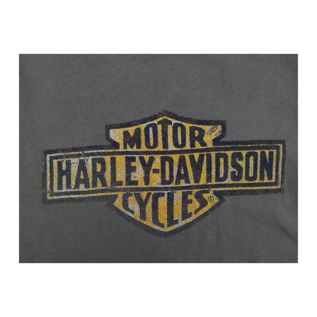 1718 Harley Davidson Women's Logo Graphic Short Sleeve T Shirt Grey M