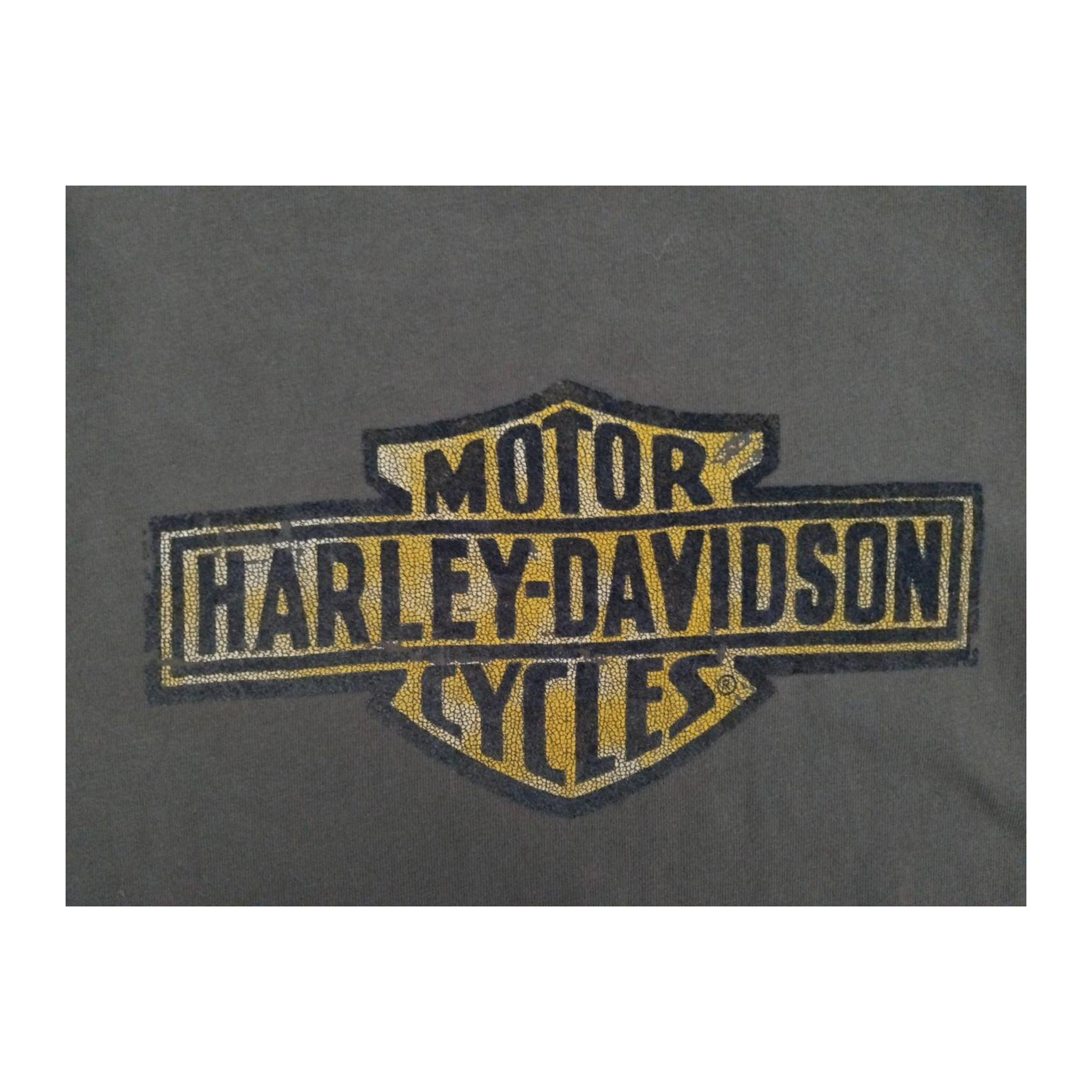 1718 Harley Davidson Women's Logo Graphic Short Sleeve T Shirt Grey M