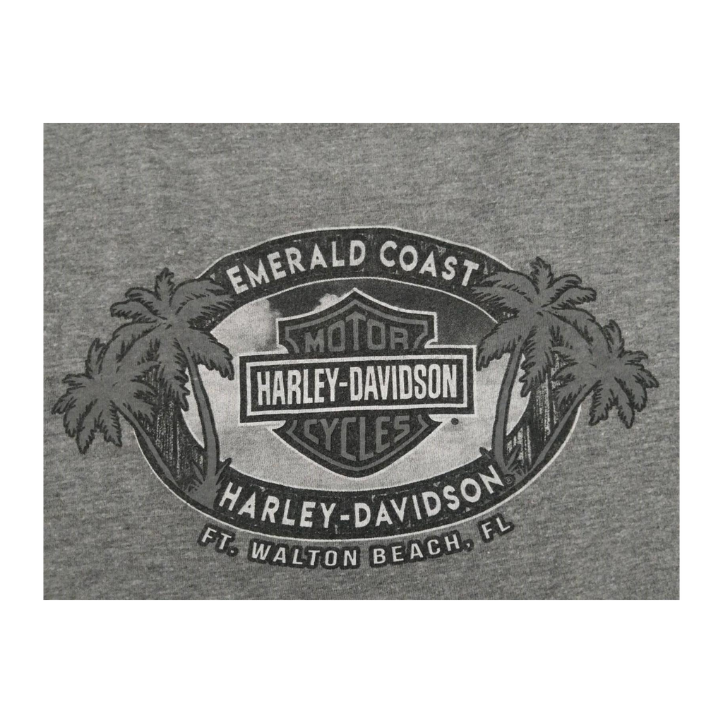 1719 Harley Davidson Women's Floral Logo Short Sleeve V Neck T Shirt Grey S