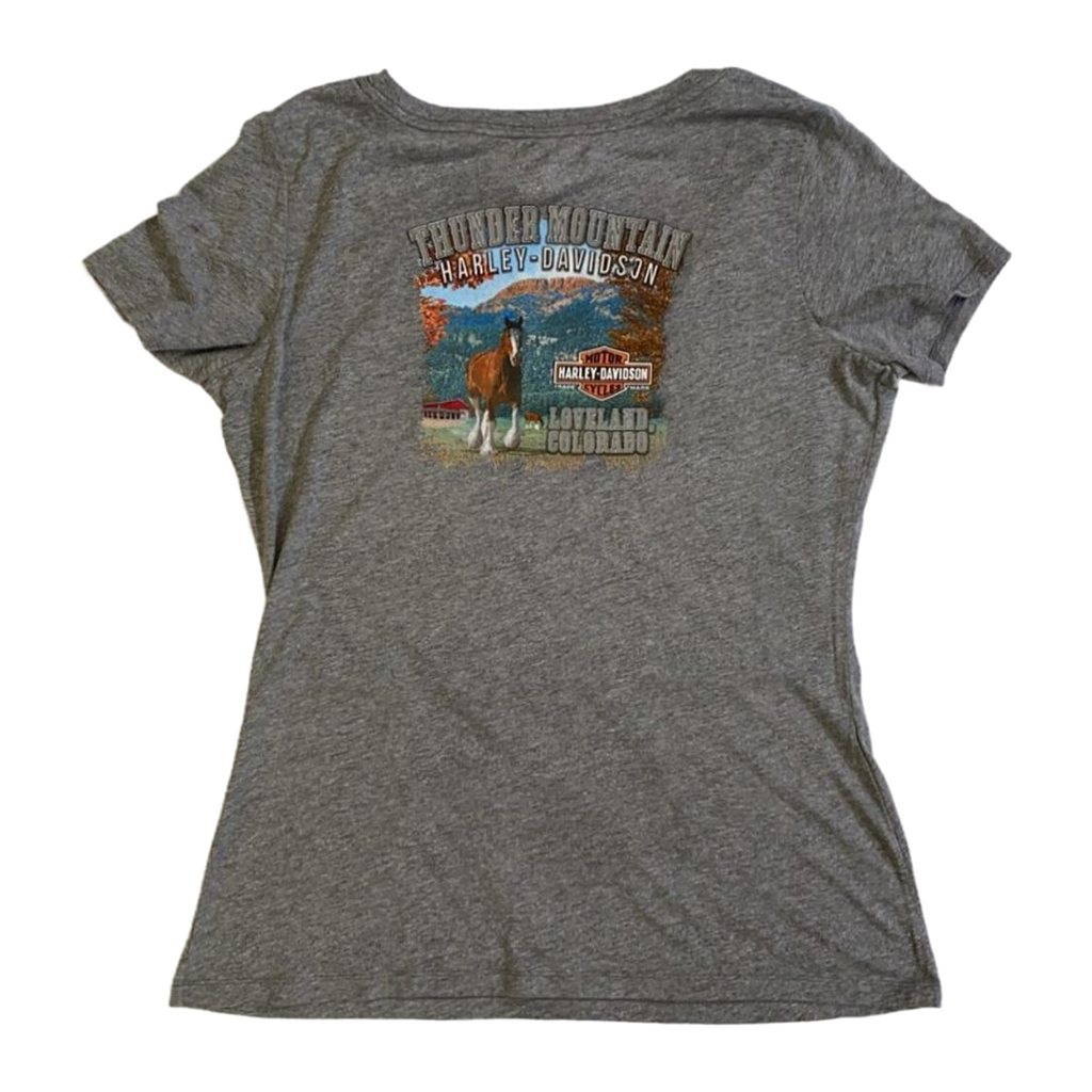 1722 Harley Davidson Women's Free Spirit Graphic Short Sleeve T Shirt Grey XL