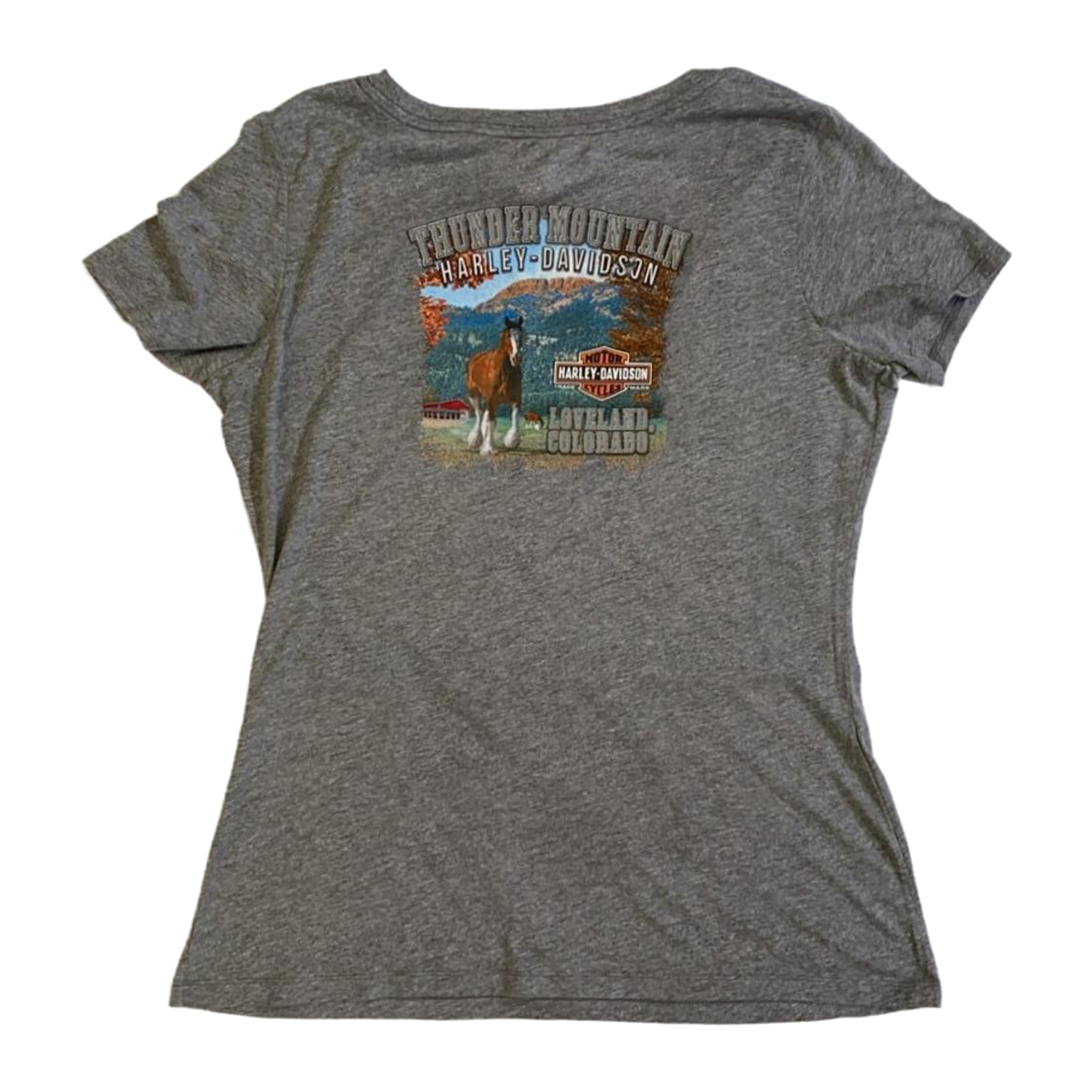 1722 Harley Davidson Women's Free Spirit Graphic Short Sleeve T Shirt Grey XL