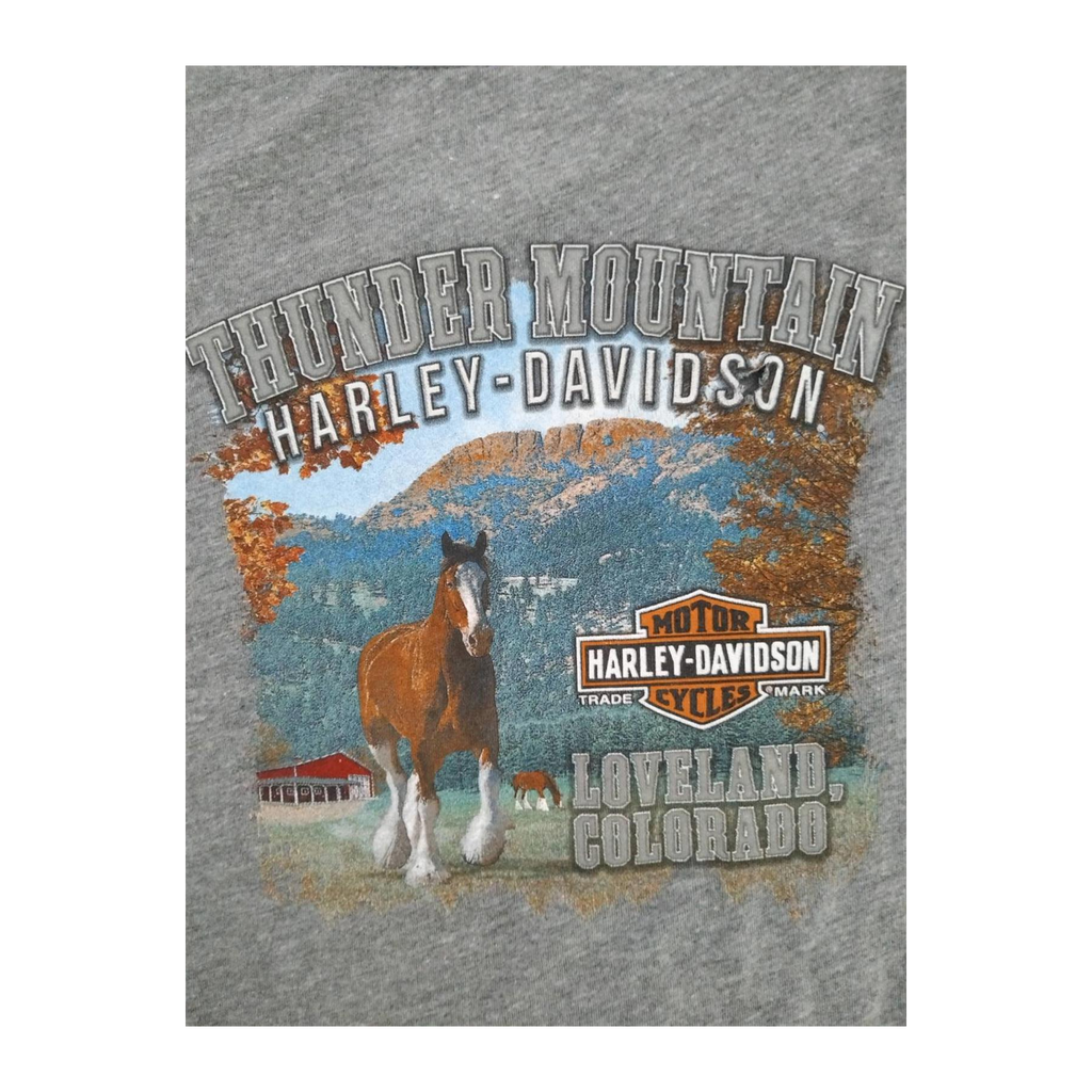 1722 Harley Davidson Women's Free Spirit Graphic Short Sleeve T Shirt Grey XL