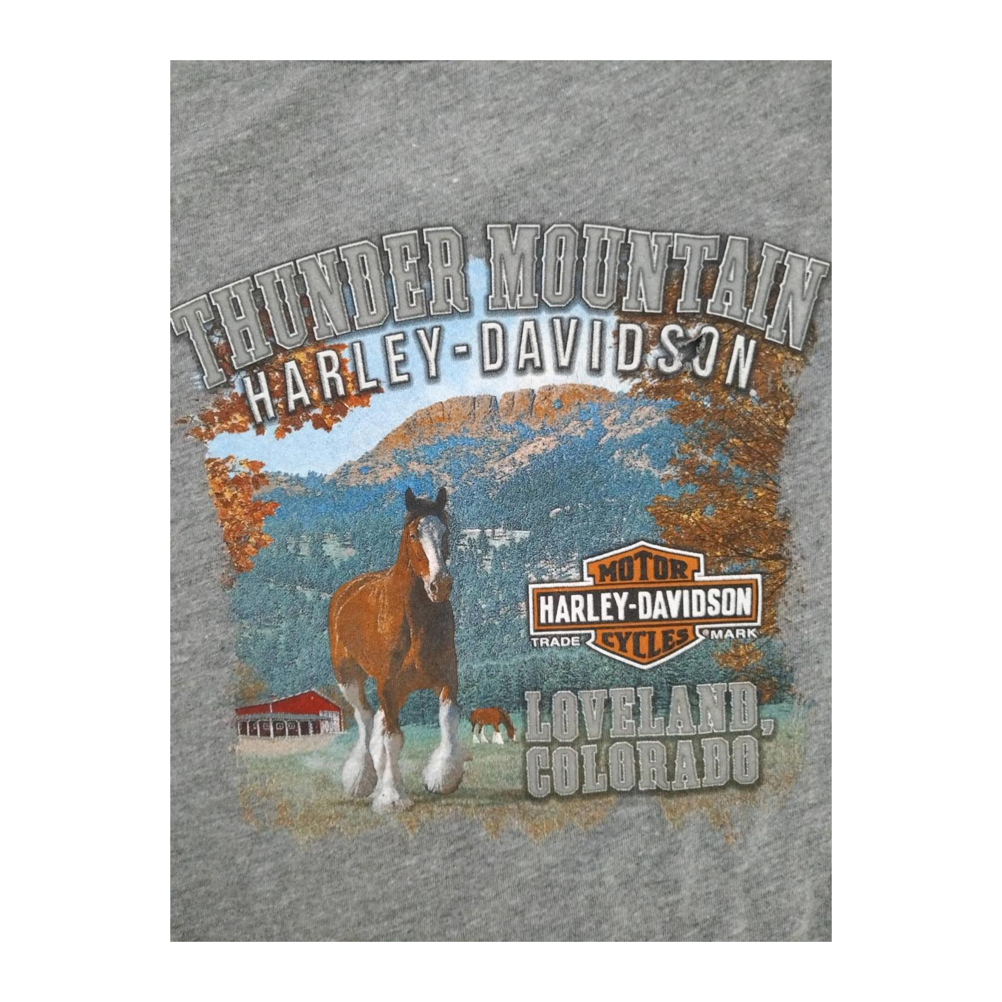 1722 Harley Davidson Women's Free Spirit Graphic Short Sleeve T Shirt Grey XL