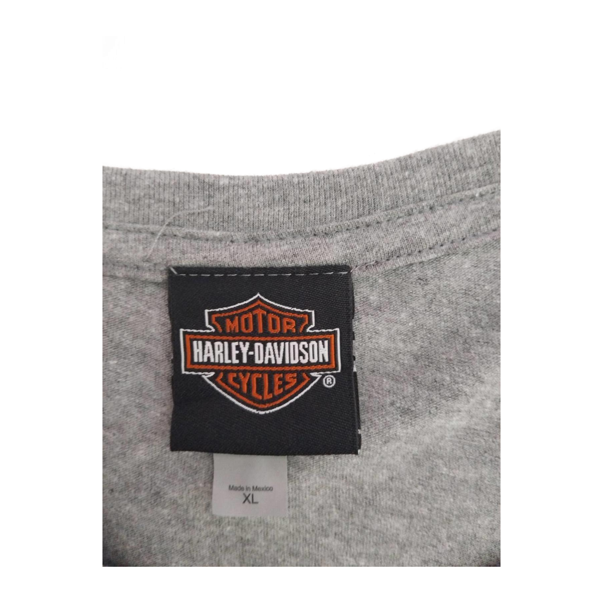 1722 Harley Davidson Women's Free Spirit Graphic Short Sleeve T Shirt Grey XL