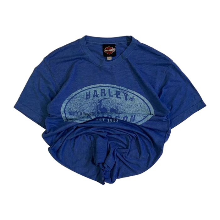 Harley Davidson Men's Skull and Crossbones Short Sleeve T Shirt Blue S