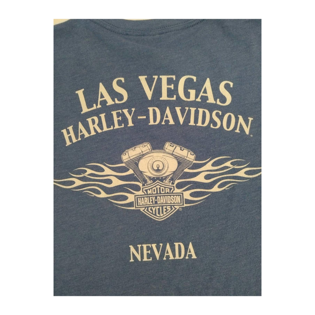 1746 Harley Davidson Men's Skull and Crossbones Short Sleeve T Shirt Blue S