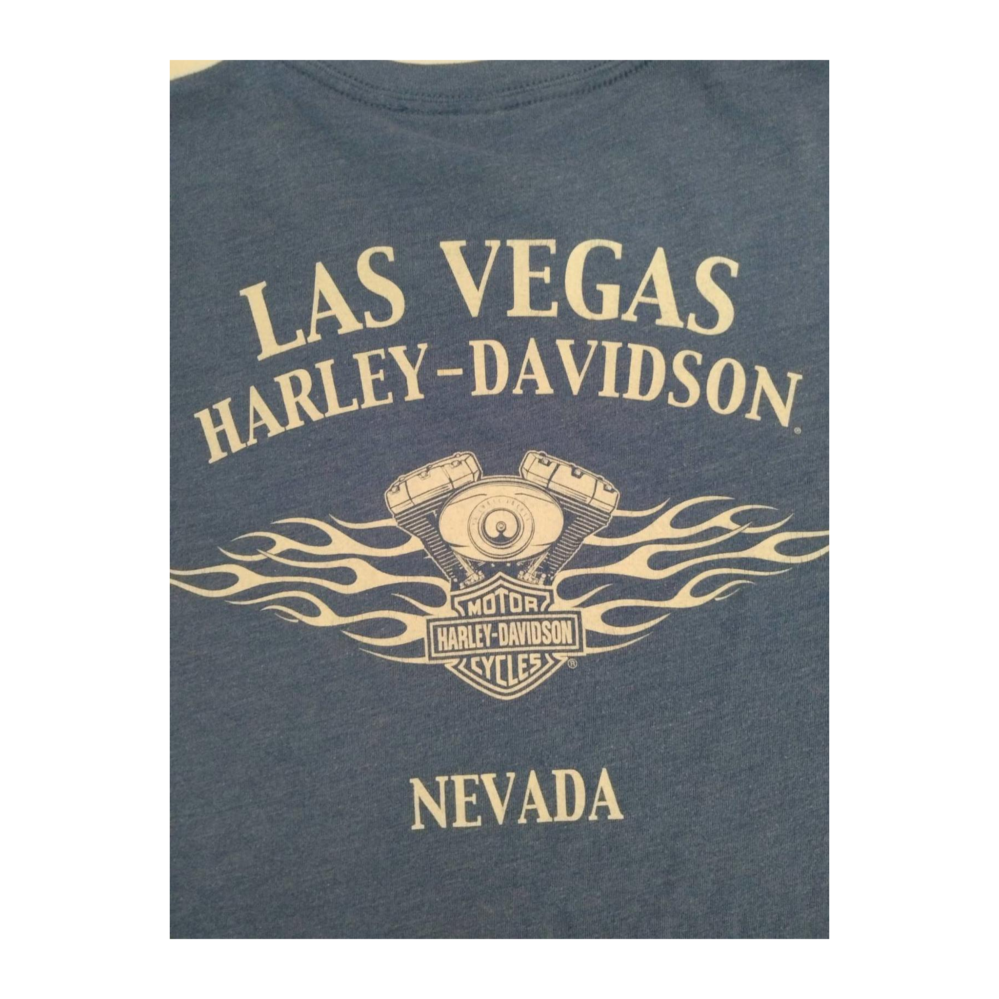 1746 Harley Davidson Men's Skull and Crossbones Short Sleeve T Shirt Blue S