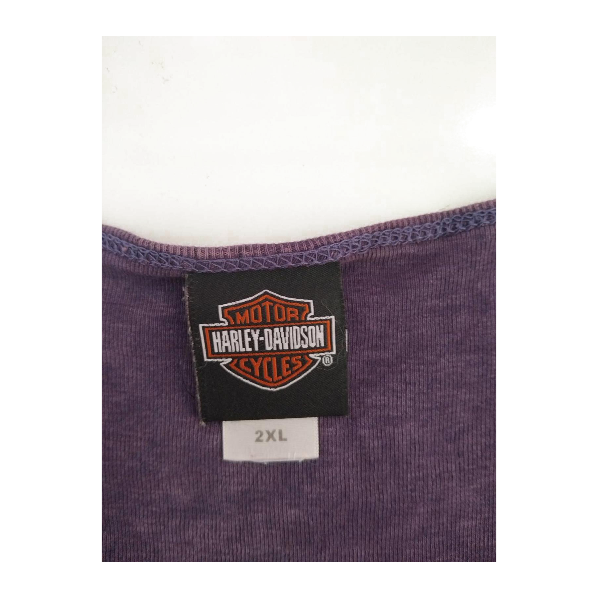 1748 Harley Davidson Women's Bedazzled Logo Long Sleeve T Shirt Purple 2XL