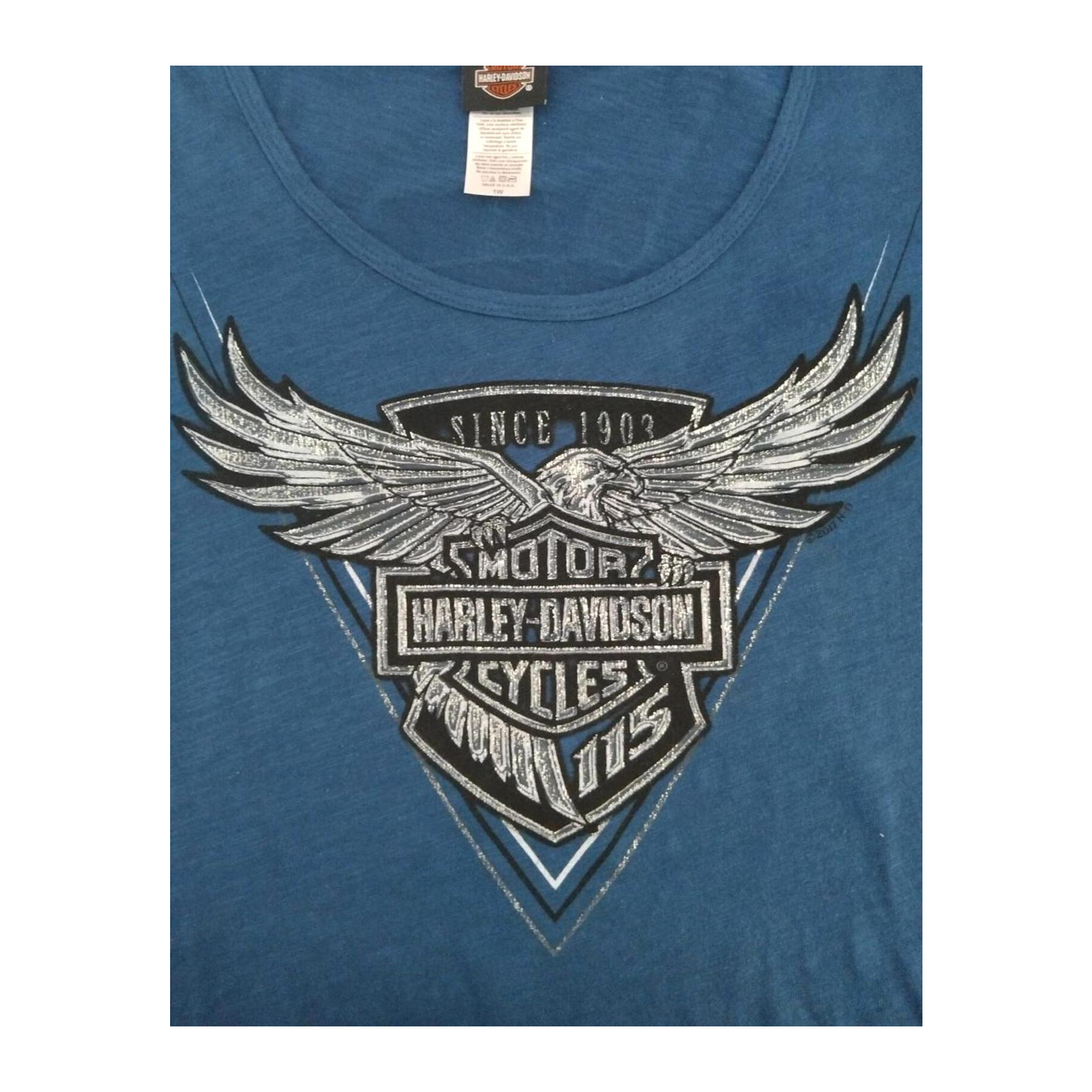 1764 Harley Davidson Women's Glitter Logo Short Sleeve T Shirt Blue XL