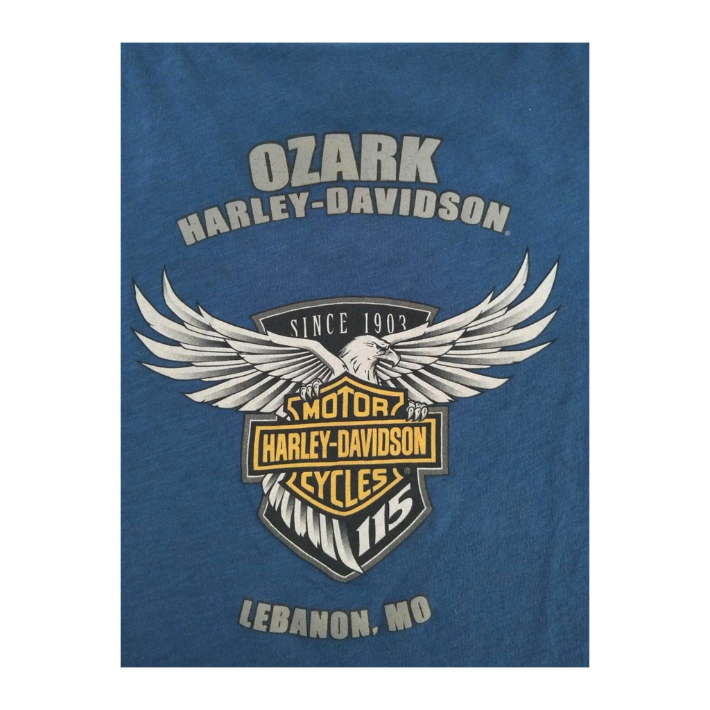 1764 Harley Davidson Women's Glitter Logo Short Sleeve T Shirt Blue XL