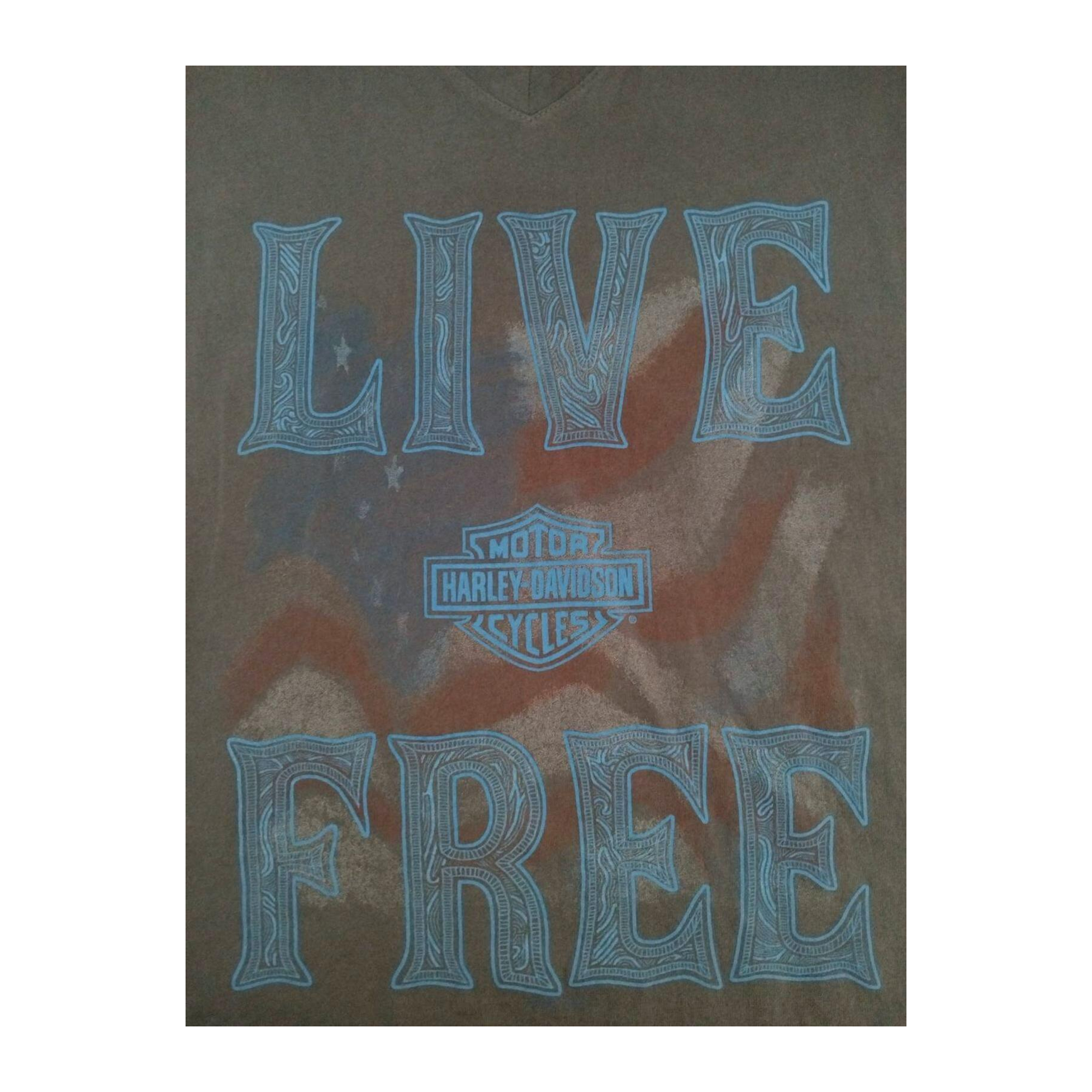 1767 Harley Davidson Women's Live Free Women's Short Sleeve T Shirt Grey L