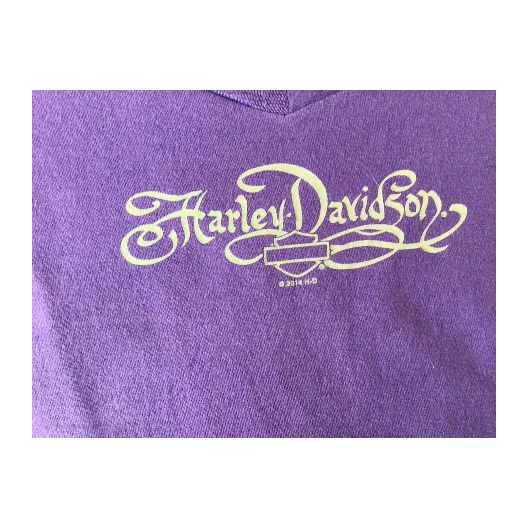 1658 Harley Davidson Women's Y2K Short Sleeve V Neck T Shirt Purple XL