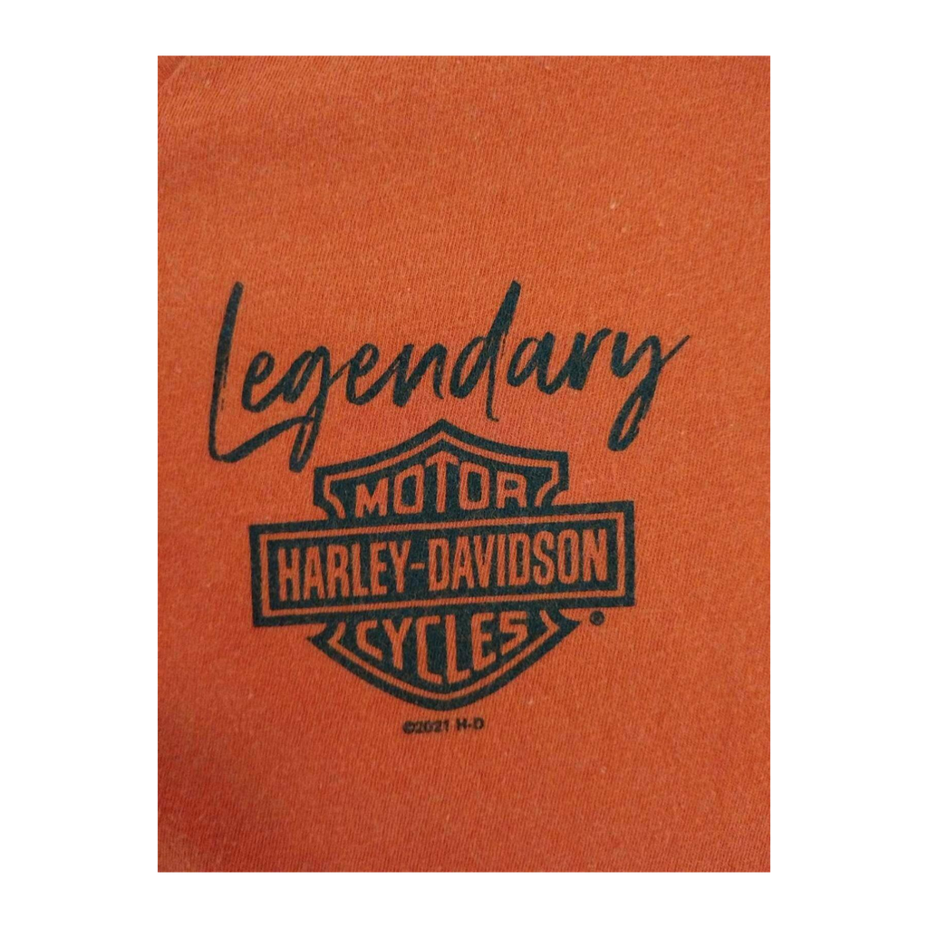 1673 Harley Davidson Women's Legendary Short Sleeve V Neck T Shirt Orange XL