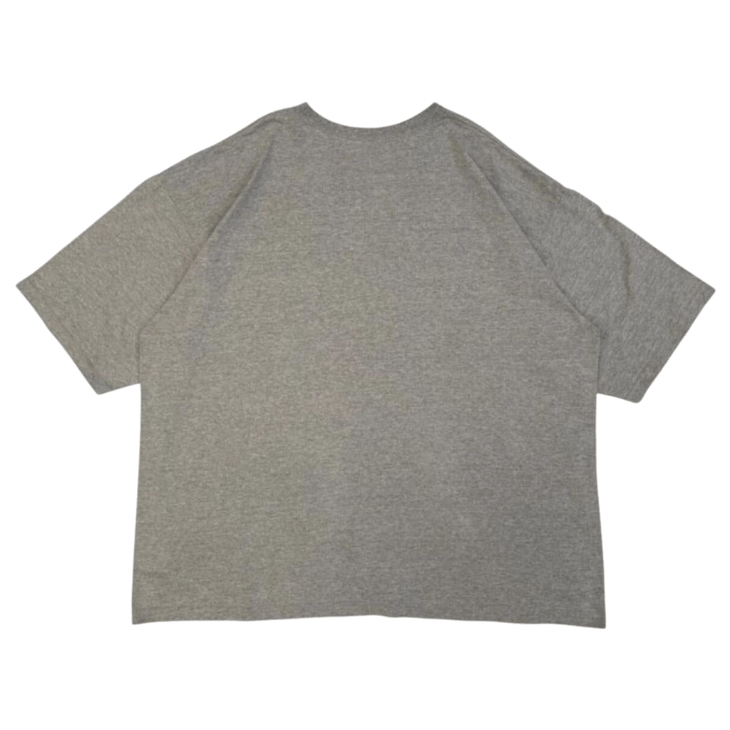 Southpole Men's Y2K Graphic Logo Short Sleeve T Shirt Grey XXL