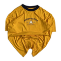 0046 Aeropostale Men's Classic Graphic Logo Short Sleeve T Shirt Yellow M