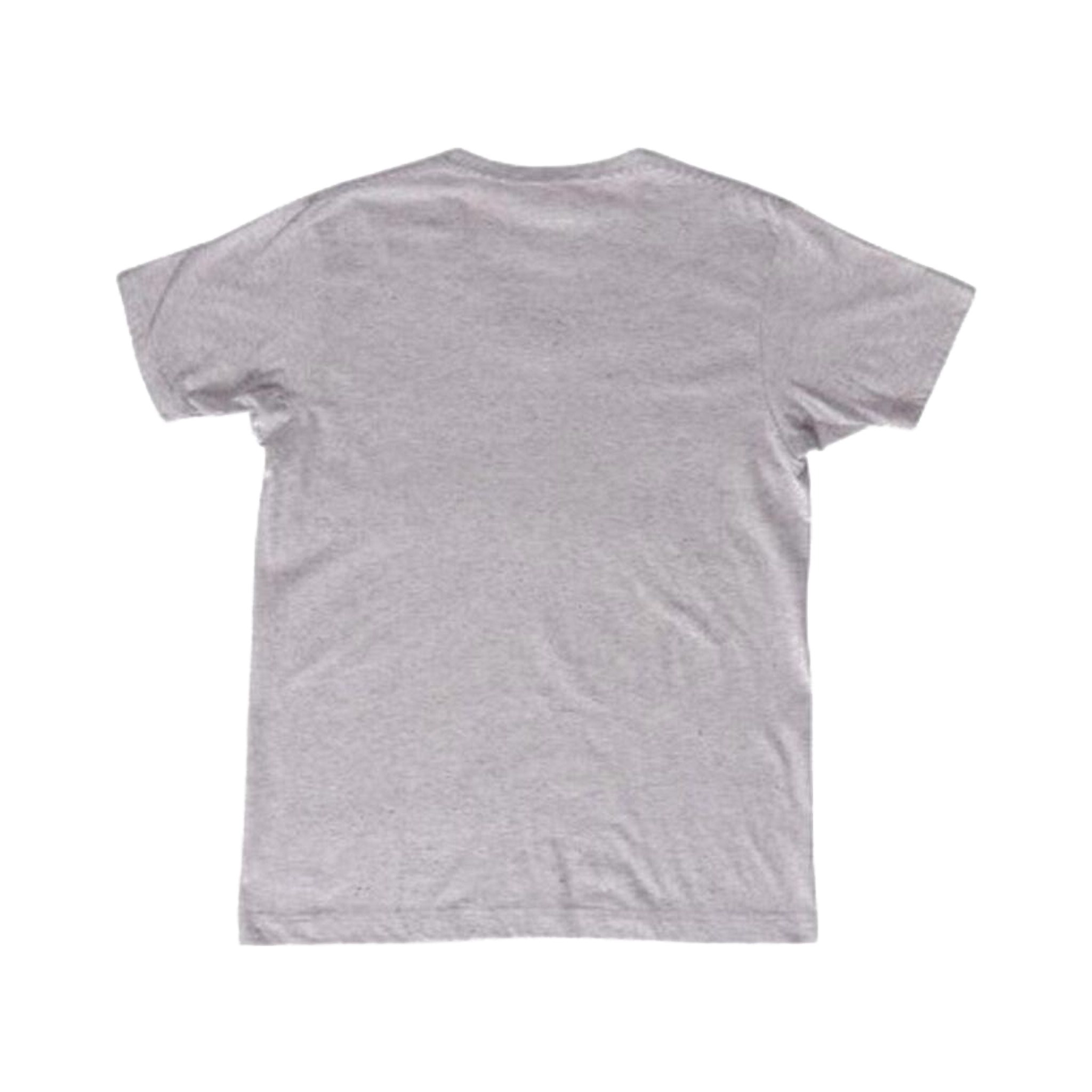 1926 Champion New with Tag V Neck Short Sleeve T Shirt M Grey