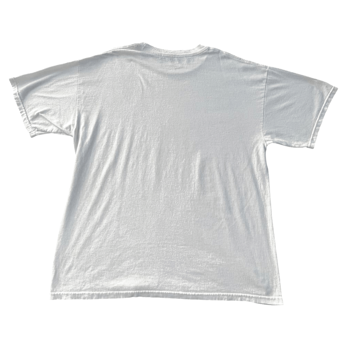 Skulls on a Mesh Fence Affliction Style Y2K Graphic T-Shirt White XXL