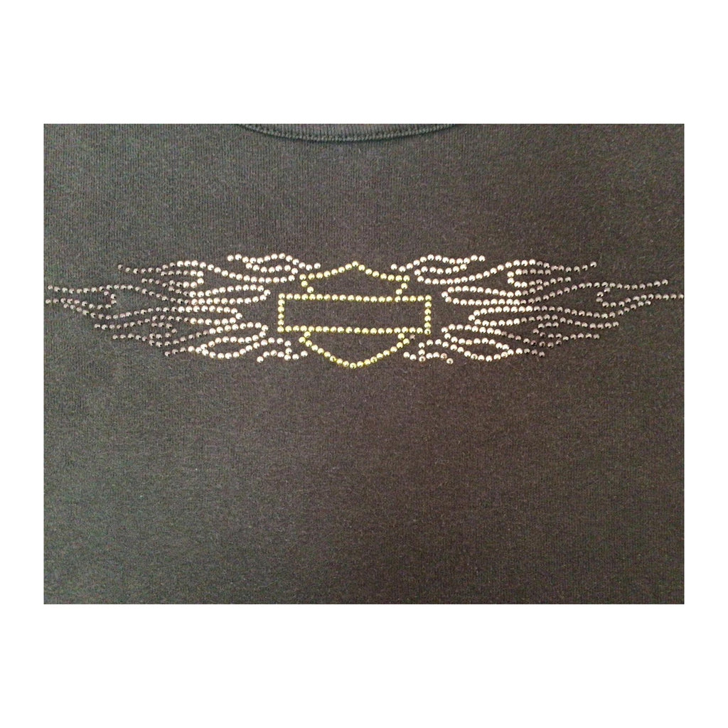 Harley Davidson Logo Short Sleeve T Shirt Brown 2XL