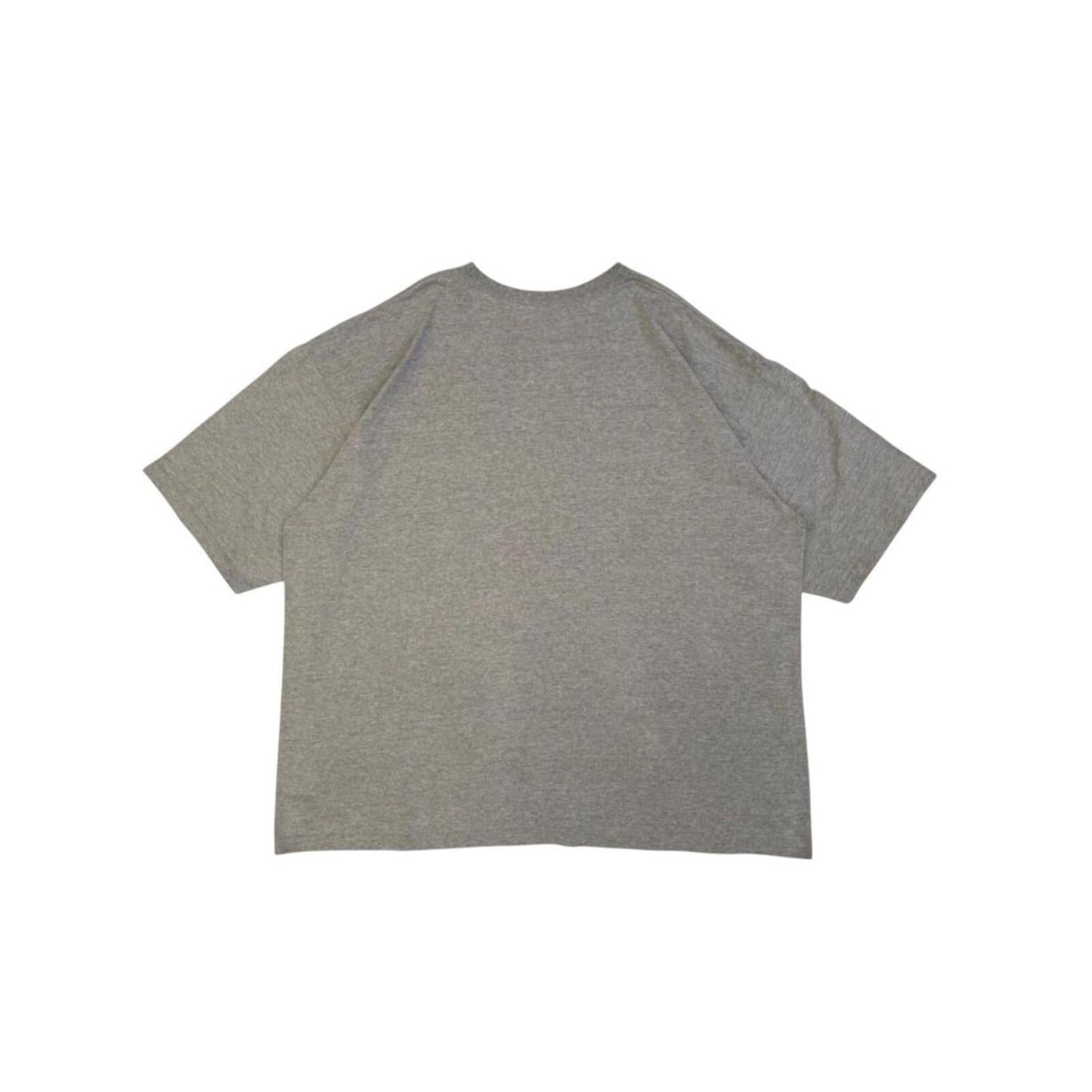 Southpole Men's Y2K Graphic Logo Short Sleeve T Shirt Grey XXL